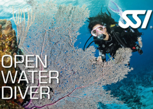 Open Water Diver