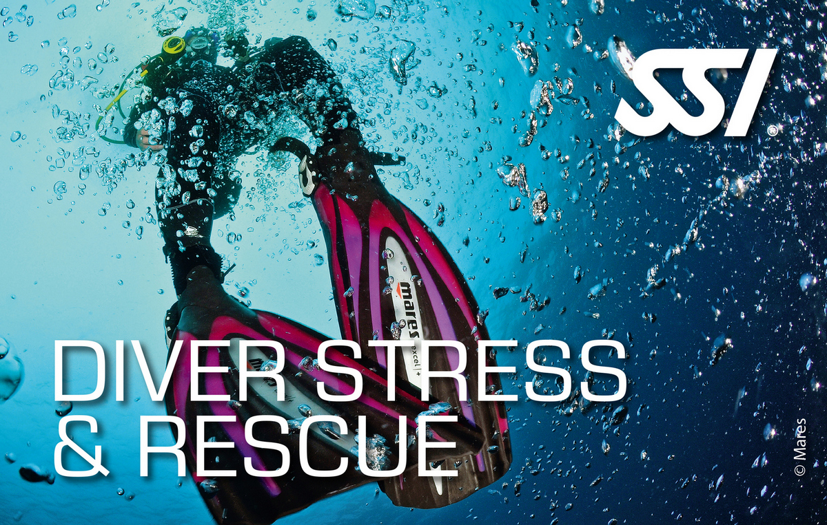 SSI Diver Stress & Rescue Brevet-Karte
