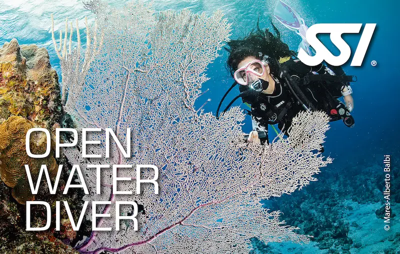 SSI Scuba Diver / Referral – Tauchring Reutlingen